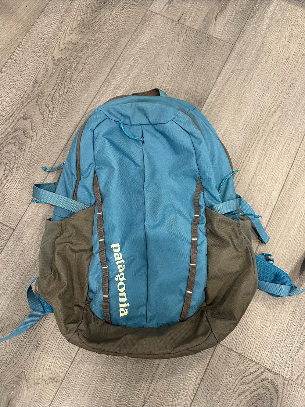 Patagonia Blue and Brown Everyday Backpack